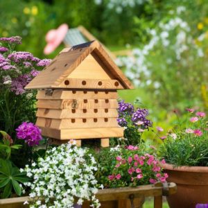 Solitary Bee Hive