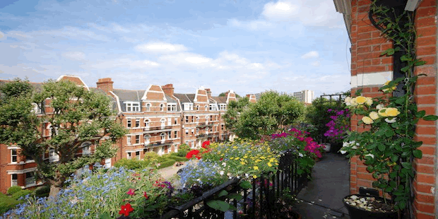 Win A Maida Vale Home