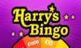 Harrys Bingo News